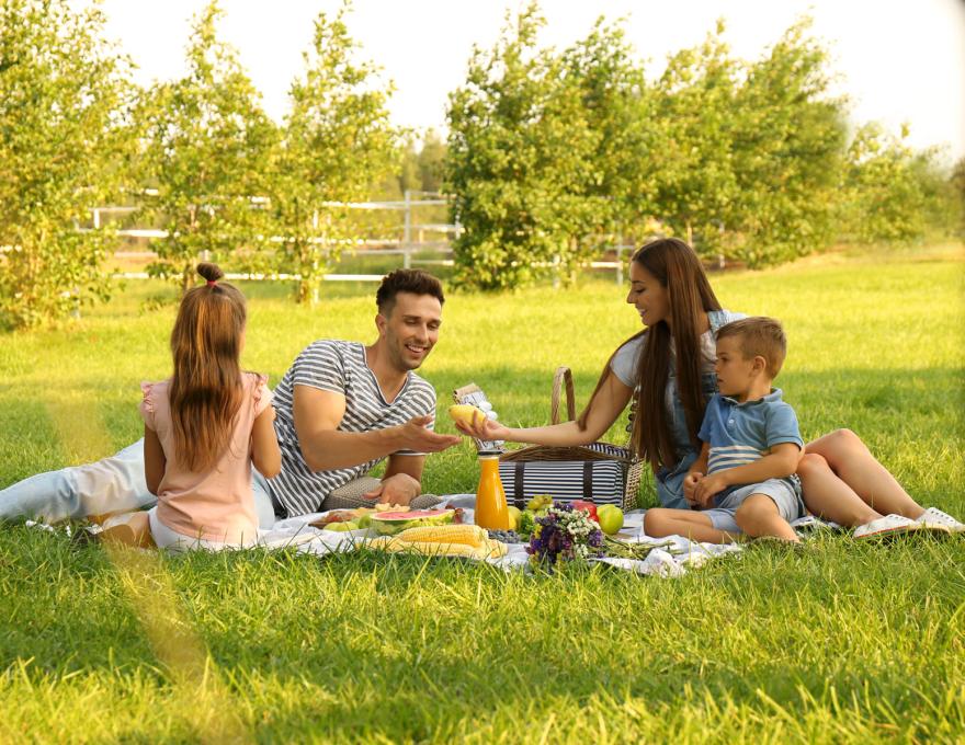 Co zabrać na piknik? Pomysły na przekąski i niezbędne akcesoria