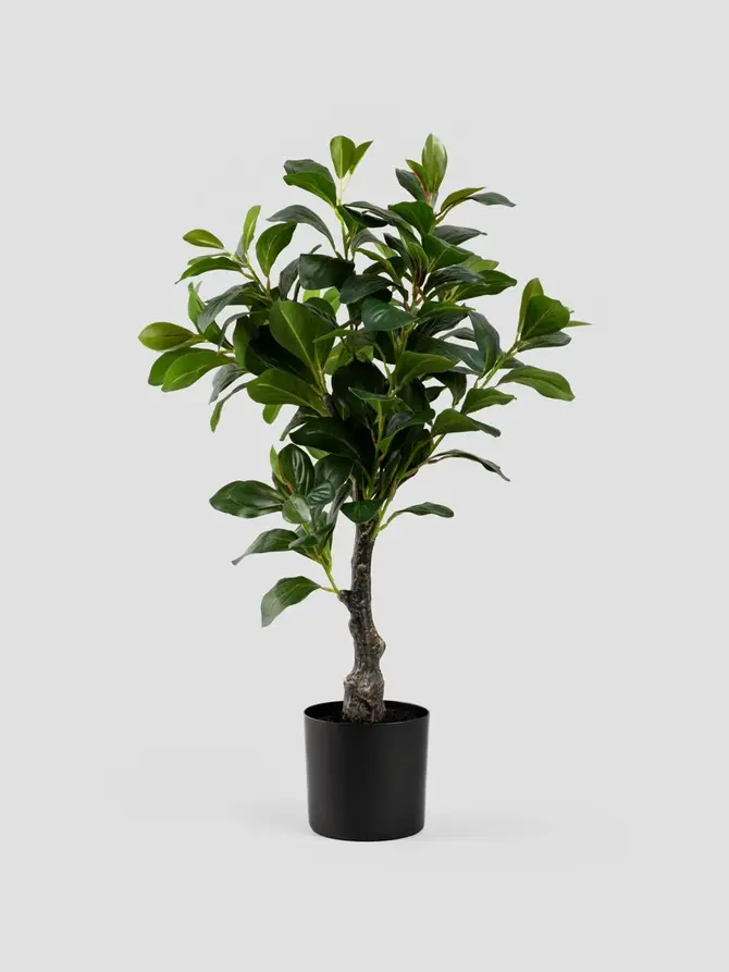 Roślina sztuczna BOTANIC surmia 65 cm