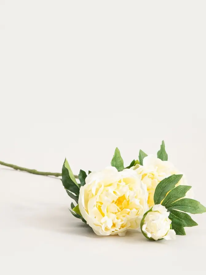 Gałązka sztuczna PAEONIA piwonie białe 81 cm