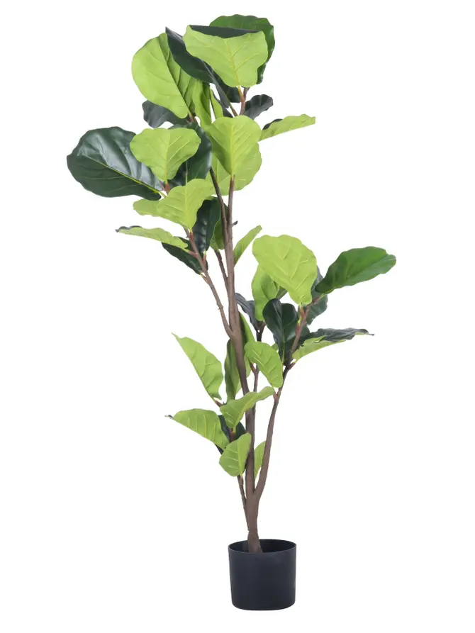 Fikus TROPICAL ZONE sztuczny 125 cm
