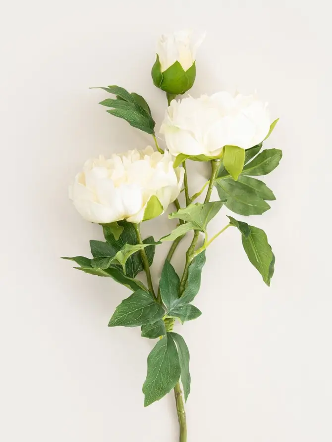 Gałązka sztuczna PAEONIA piwonie białe 81 cm