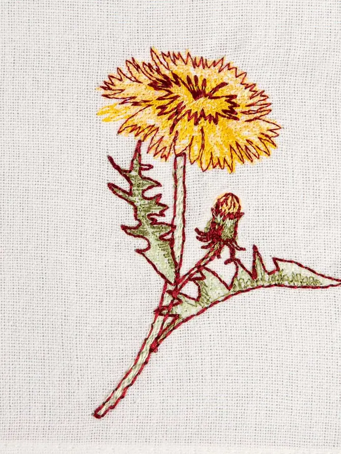 Zestaw 2 szt. napkinów MEADOW FLOWERS z haftowanym mleczem 45x45cm