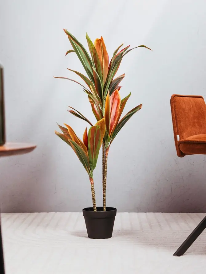 Roślina sztuczna TROPICAL ZONE dracena 90 cm