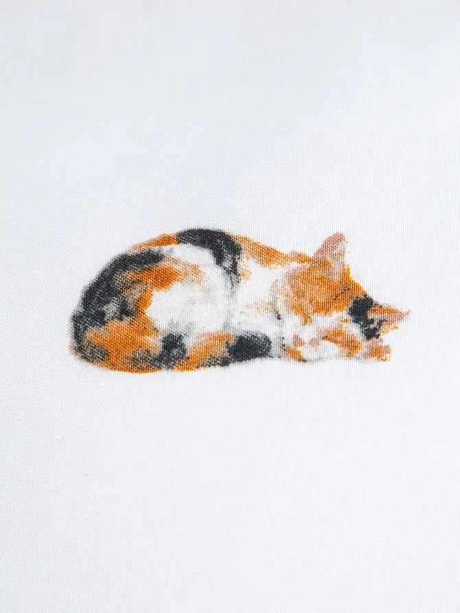 POŚCIEL GATTINO z mikrofibry w kotki 160X200 2X[50X60]