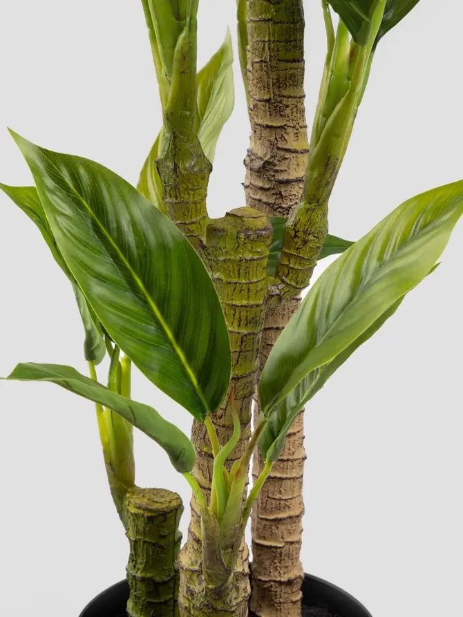 Roślina sztuczna TROPICAL ZONE juka 90 cm