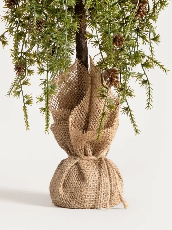 Choinka LARIX na pieńku w jucie 50 cm