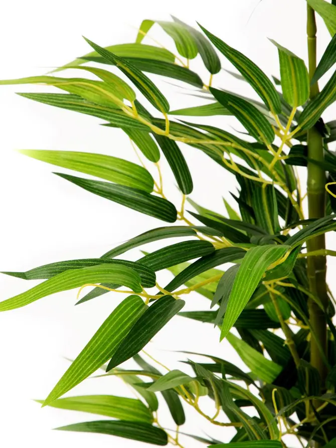 Roślina sztuczna TROPICAL ZONE bambus 180 cm