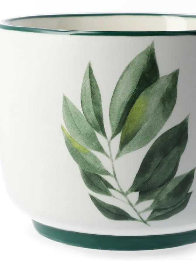 Kubek BLYDE z liściem kauczukowca 350ml