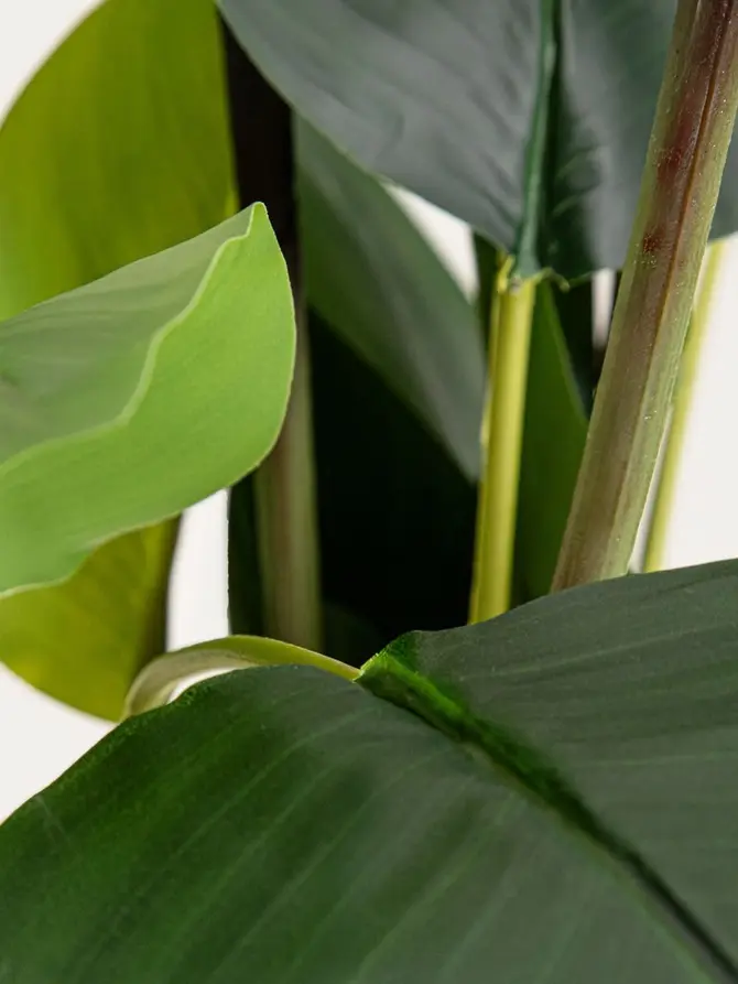 Roślina sztuczna BOTANIC strelicja 75 cm
