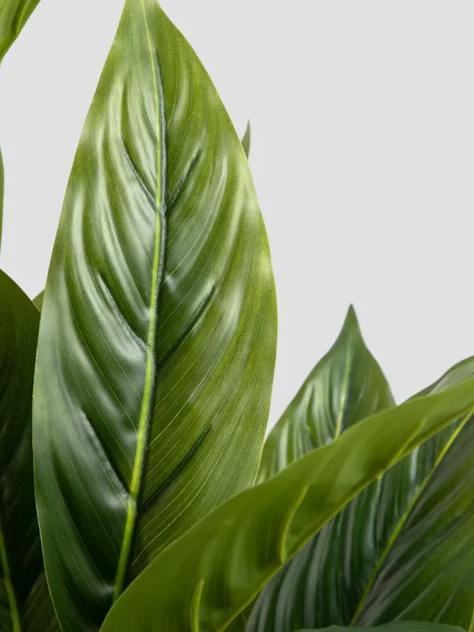Roślina sztuczna TROPICAL ZONE juka 90 cm