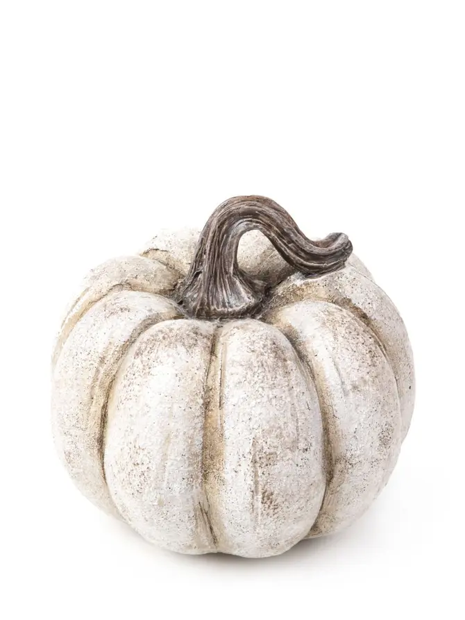 Dynia PUMPKIN z teksturą beżowa 16x16x14 cm