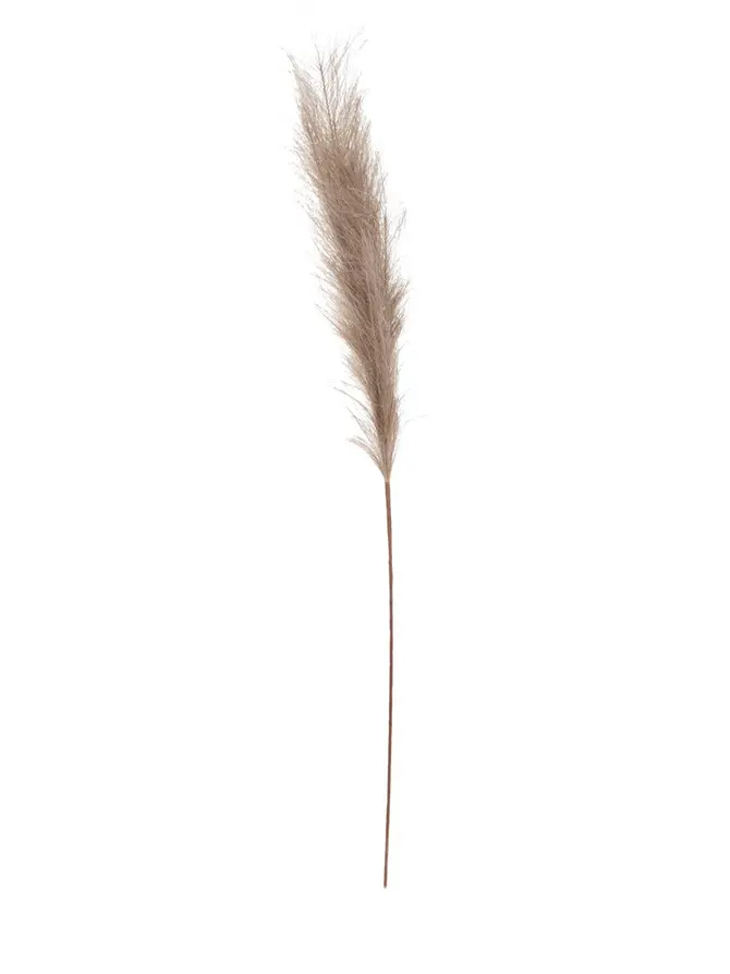 Gałązka sztuczna CANNE beżowa 97 cm