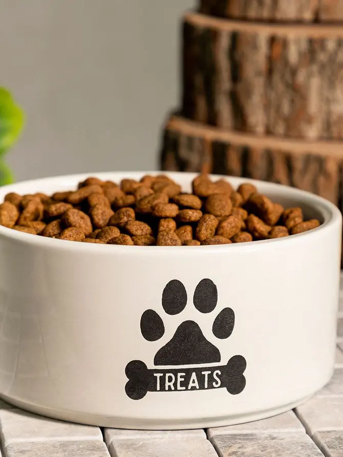 Miska TREATS dla psa L 19x9 cm