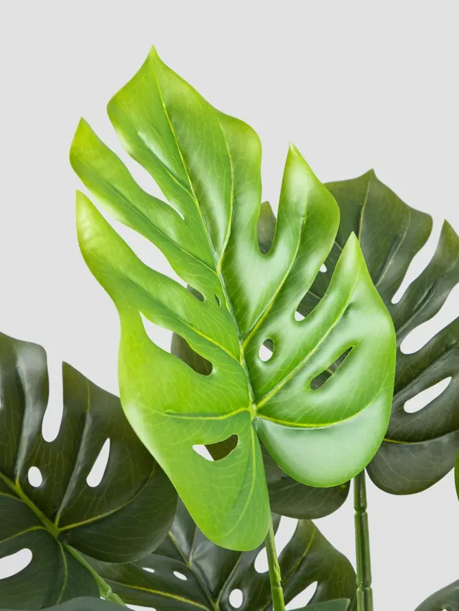 Roślina sztuczna TROPICAL ZONE monstera w czarnej donicy 66 cm