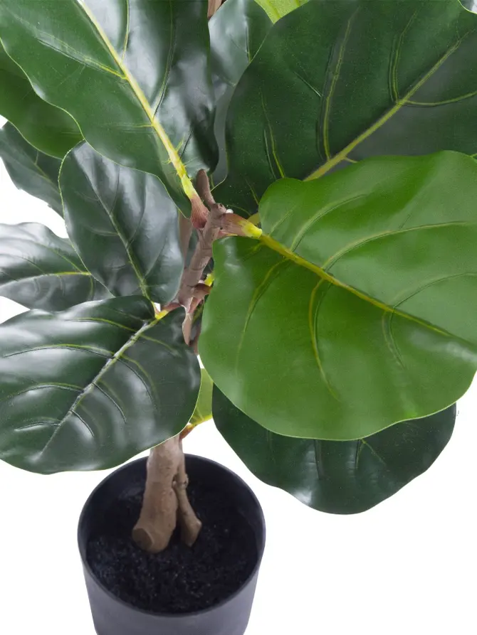 Fikus TROPICAL ZONE sztuczny 125 cm