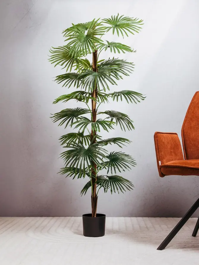 Roślina sztuczna TROPICAL ZONE palma wysoka 150 cm