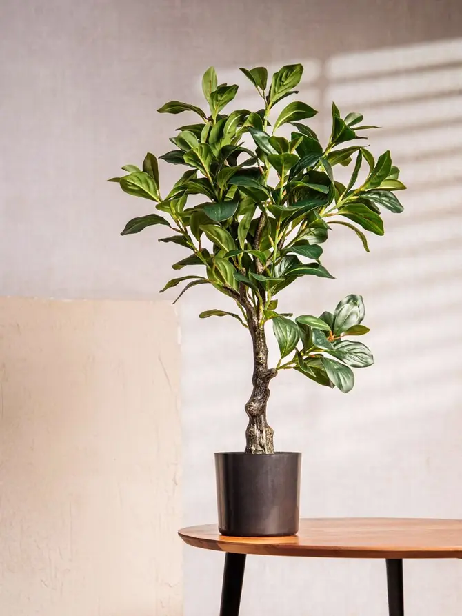 Roślina sztuczna BOTANIC surmia 65 cm