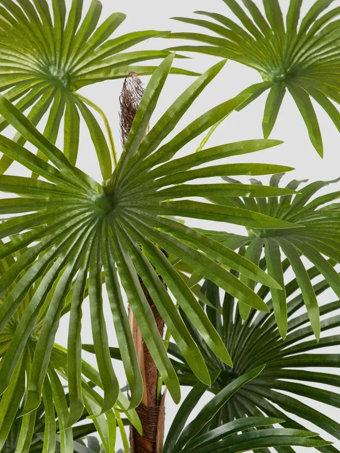Roślina sztuczna TROPICAL ZONE palma wysoka 150 cm
