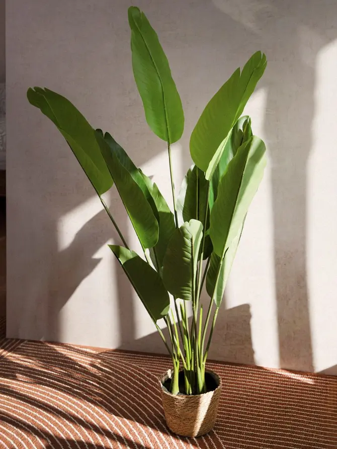 Roślina sztuczna BOTANIC bananowiec 120 cm