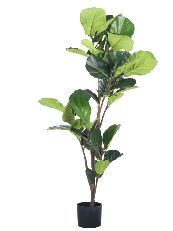 Fikus TROPICAL ZONE sztuczny 125 cm