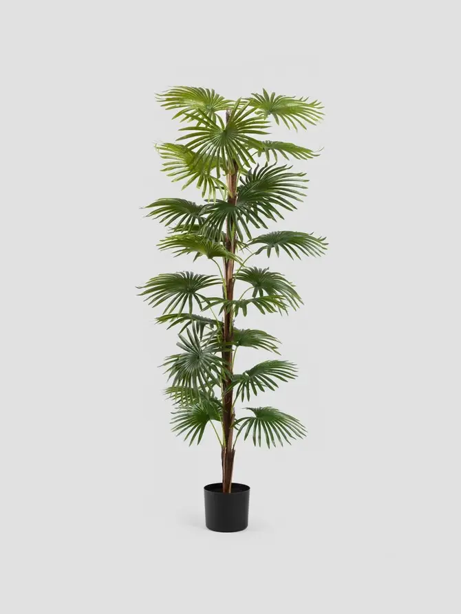 Roślina sztuczna TROPICAL ZONE palma wysoka 150 cm