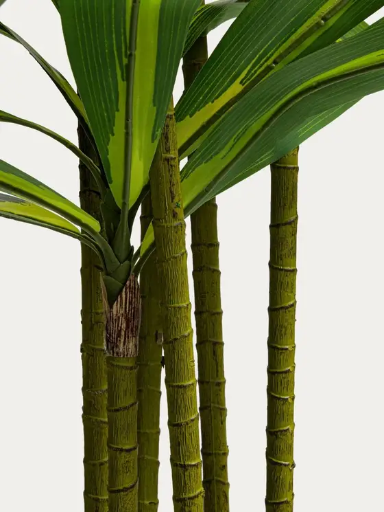 Roślina sztuczna GREENORA dracena 160 cm