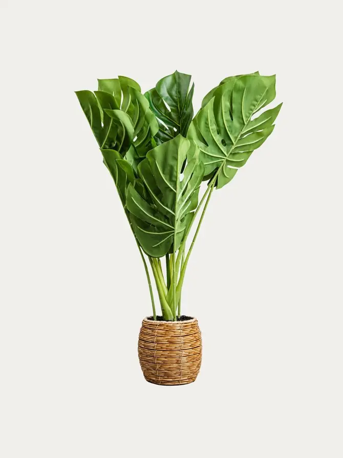 ROŚLINA SZTUCZNA B2 MONSTERA 60 cm 