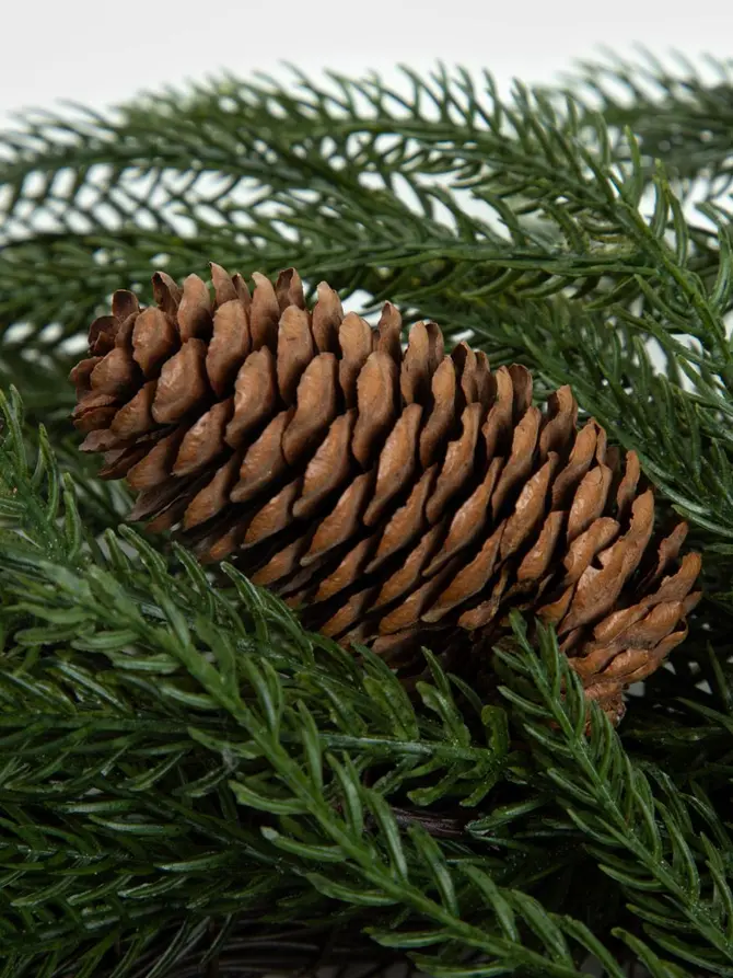 Wieniec LARCH z czerwonymi dodatkami 35 cm