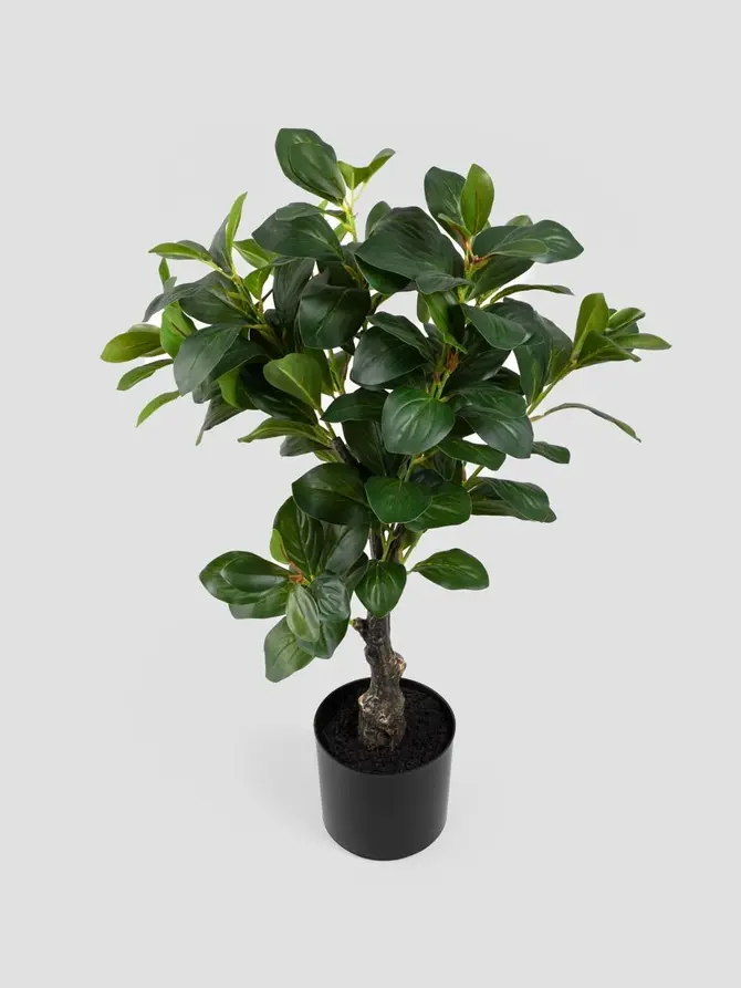Roślina sztuczna BOTANIC surmia 65 cm