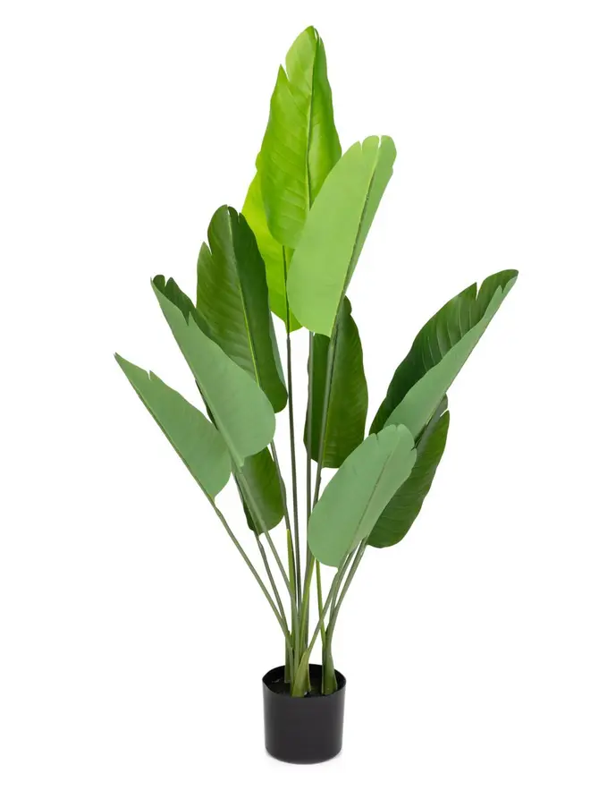 Roślina sztuczna BOTANIC bananowiec 120 cm