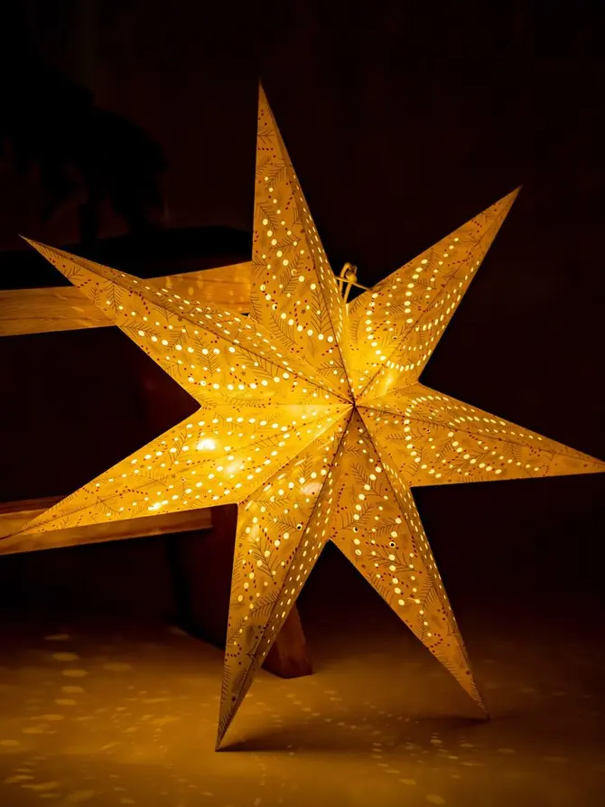 Gwiazda GALLA w gałązki i laski z LED 60 cm