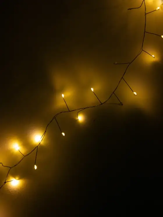 Lampki LUMERE dekoracyjny zielony z rozgałęzieniami 200 LED, 5 m
