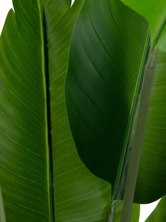 Roślina sztuczna BOTANIC bananowiec 120 cm