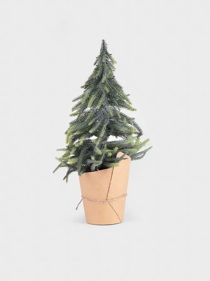 Choinka VERITY w kraftowej doniczce 36 cm