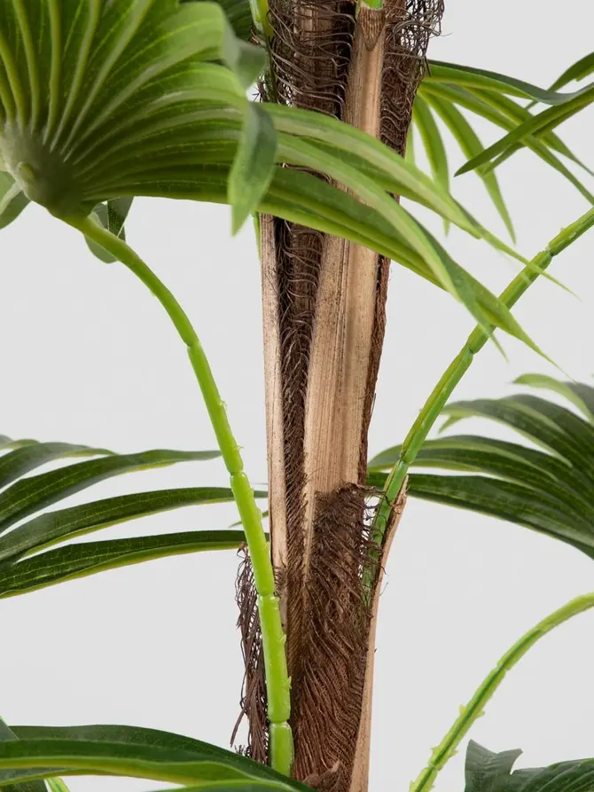 Roślina sztuczna TROPICAL ZONE palma wysoka 150 cm
