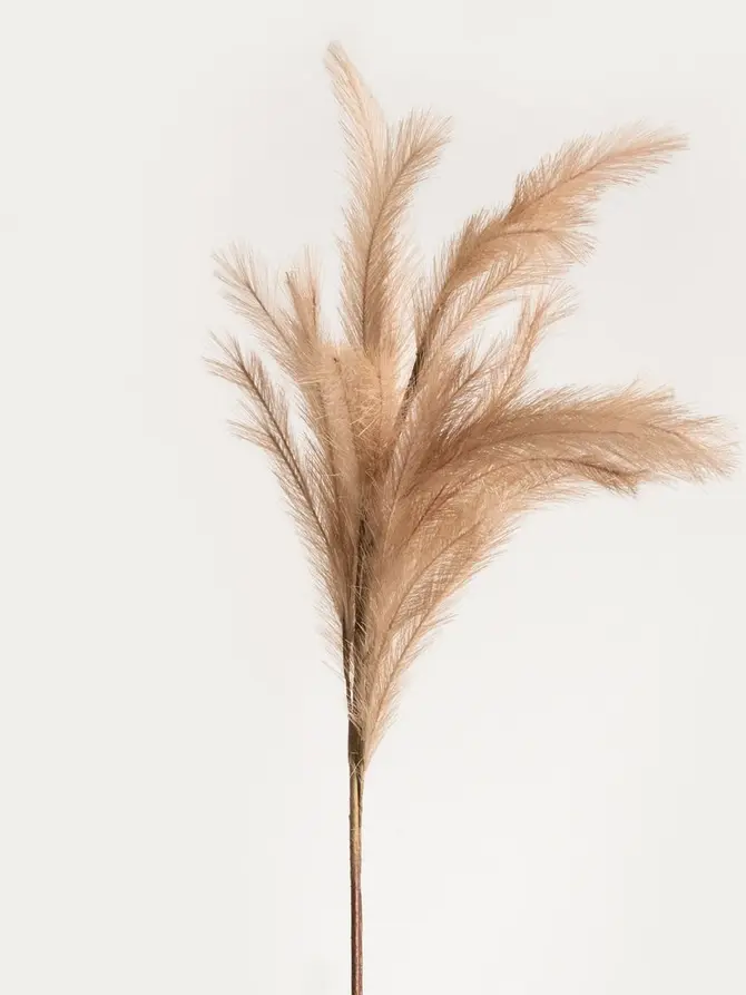 Gałązka sztuczna CANNE beżowa 100 cm