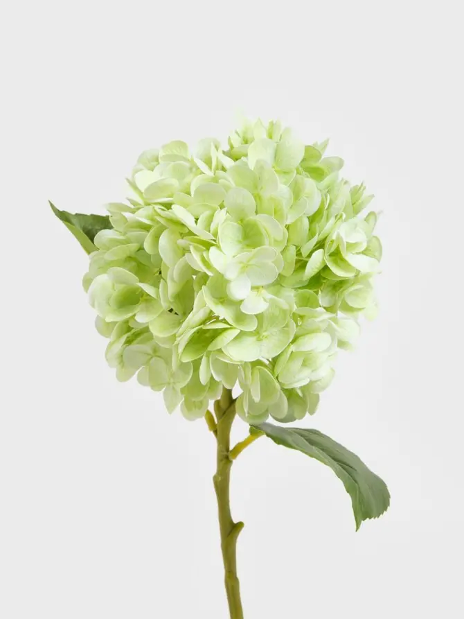 Gałązka sztuczna FORTENS hortensja zielona 49 cm