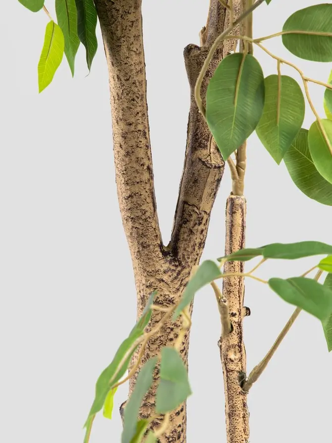 Roślina sztuczna TROPICAL ZONE fikus 170cm