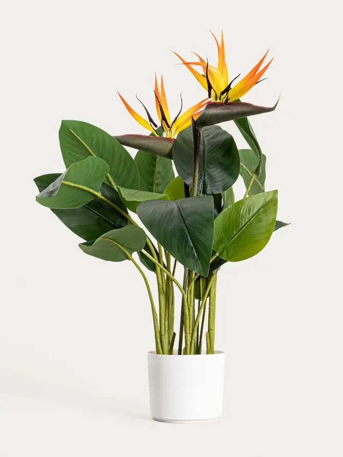 Roślina sztuczna BOTANIC strelicja 75 cm