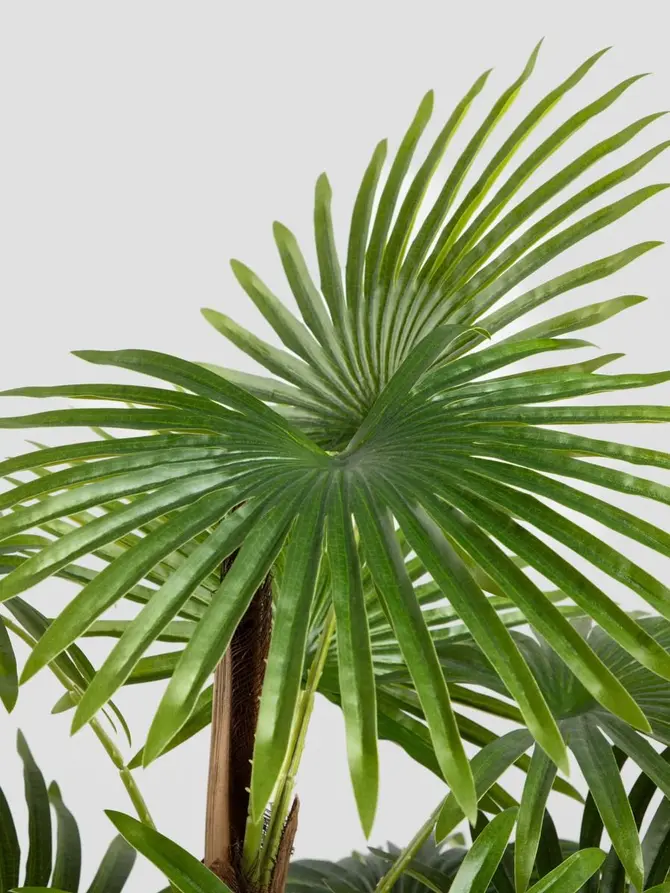 Roślina sztuczna TROPICAL ZONE palma niska 100 cm