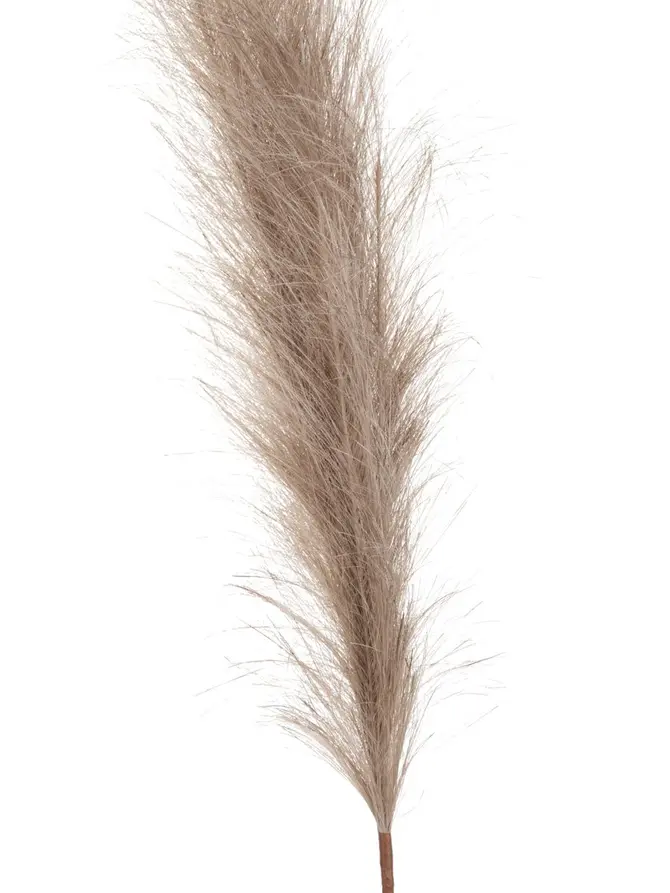 Gałązka sztuczna CANNE beżowa 97 cm