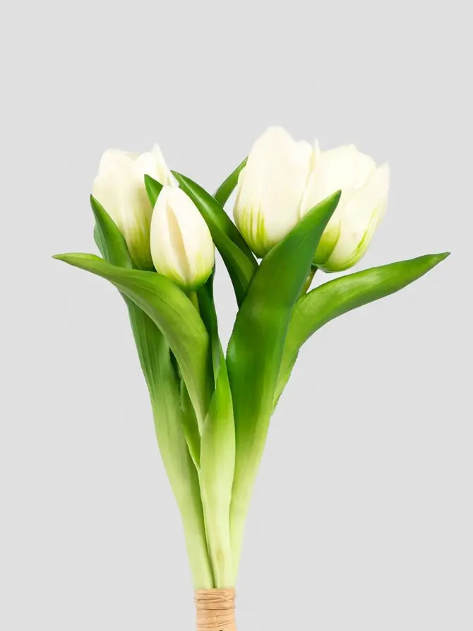 Bukiet kwiatów LITEN tulipany białe 31 cm