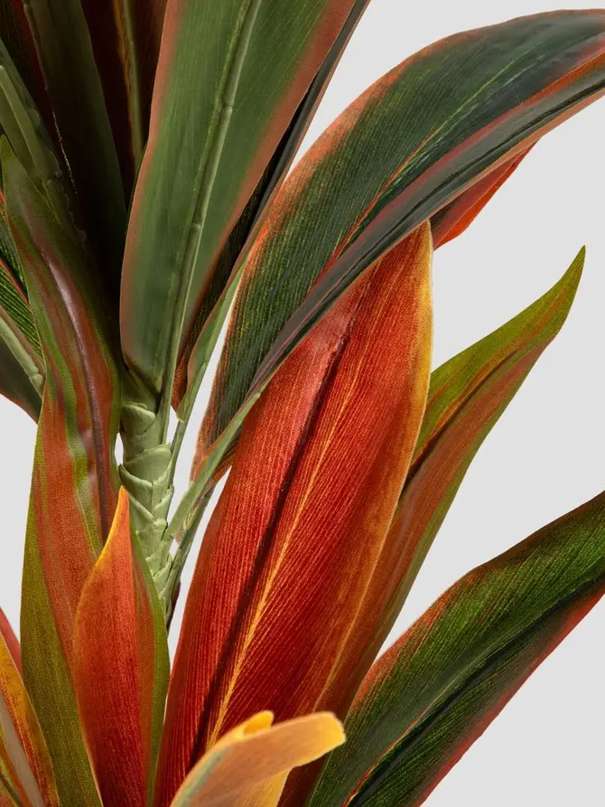 Roślina sztuczna TROPICAL ZONE dracena 90 cm