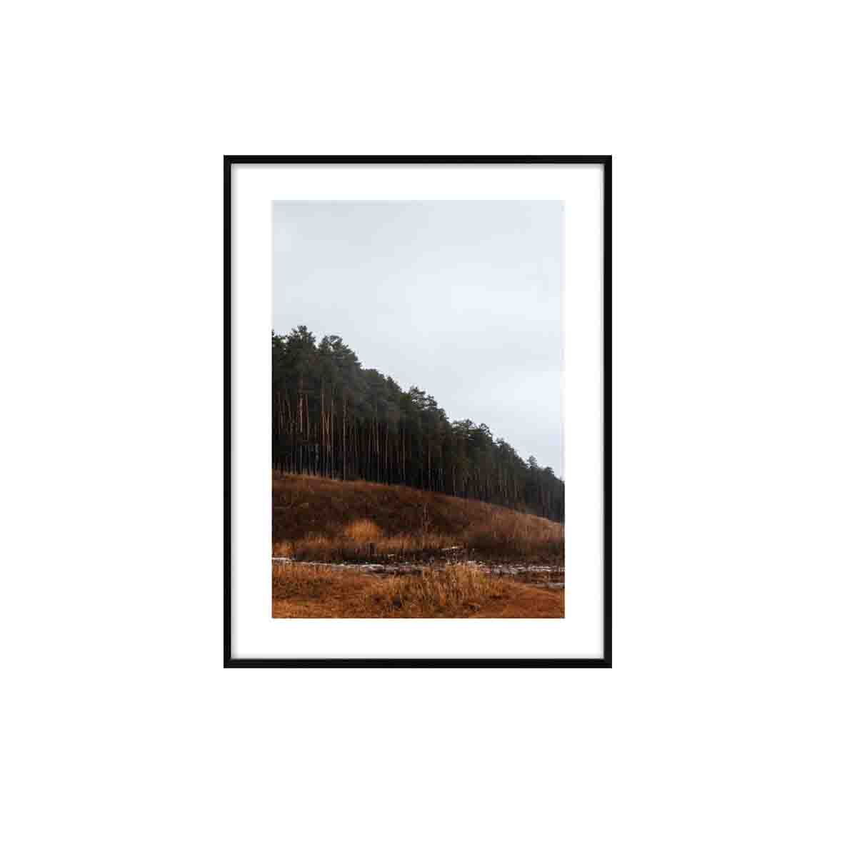 Obraz DENVER jesiennego lasu 40,8x30,8 cm