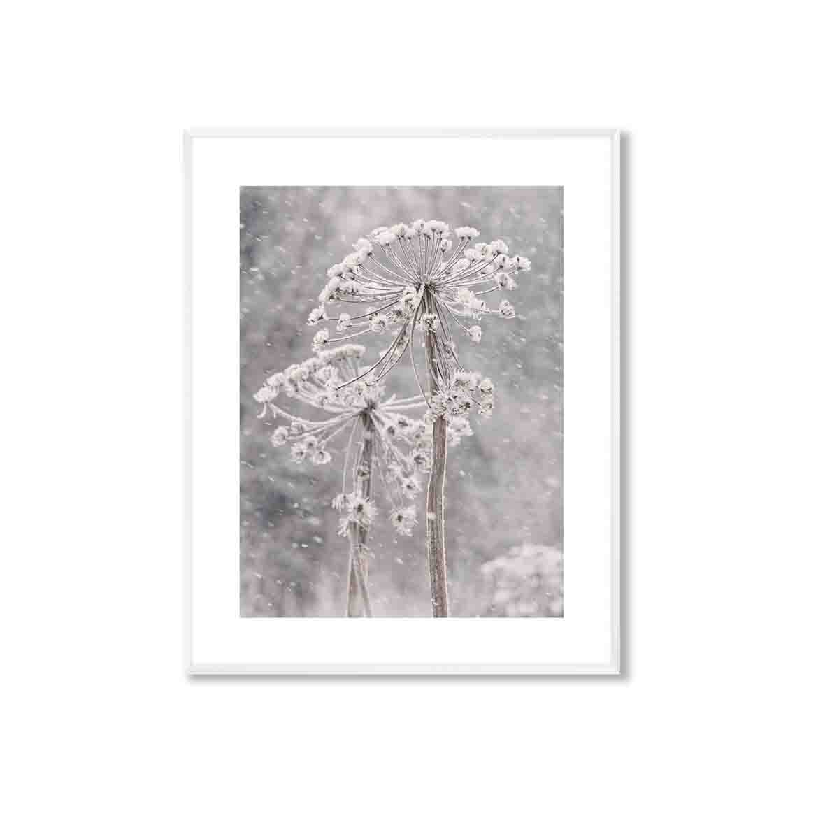 Obraz DENVER z ośnieżonym kwiatem 50,8x40,8 cm