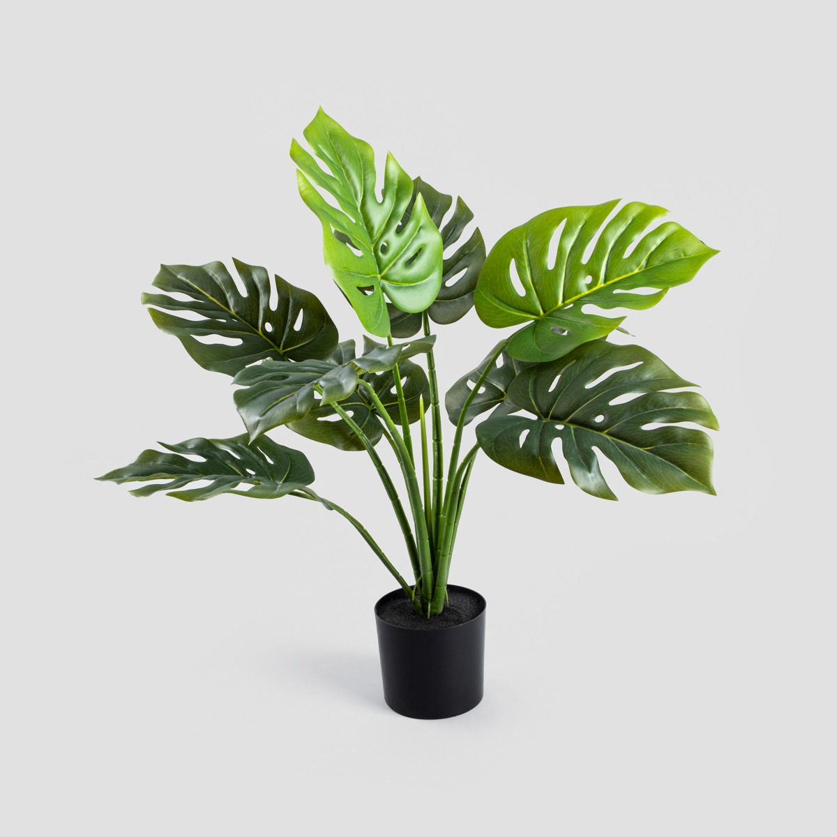 Roślina sztuczna TROPICAL ZONE monstera w czarnej donicy 66 cm