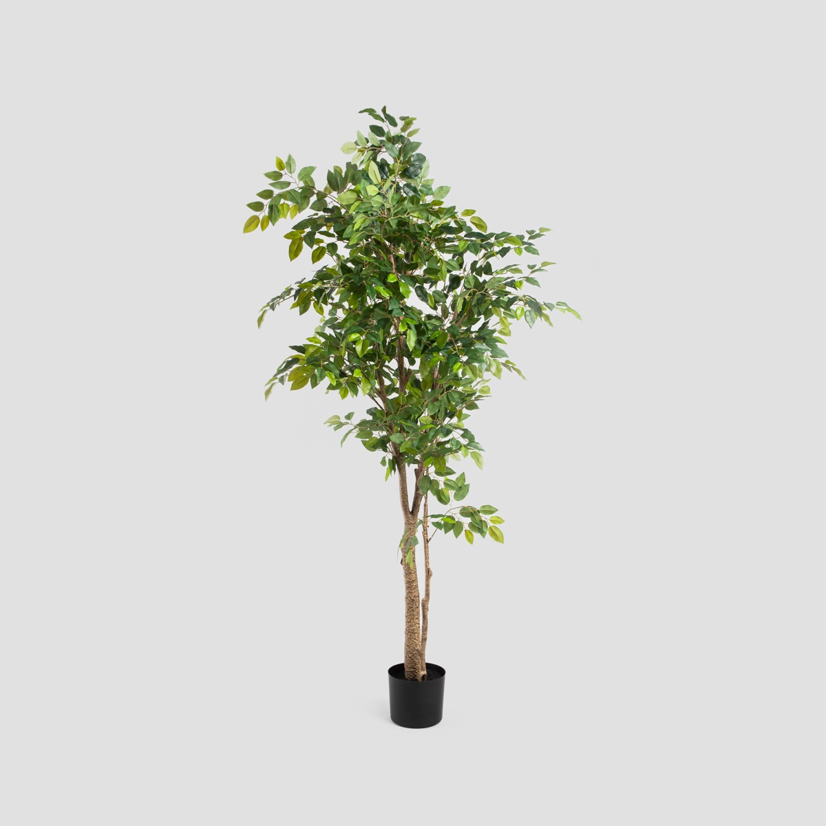 Roślina sztuczna TROPICAL ZONE fikus 170cm