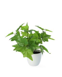 Roślina sztuczna EDERA bluszcz 20 cm