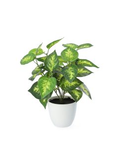Roślina EDERA sztuczna 20 cm