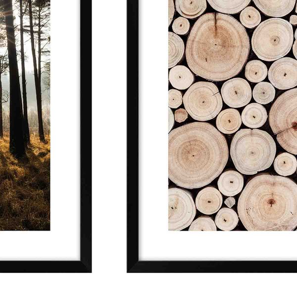 Zestaw obrazów KNOR las i drewno 30x40 cm
